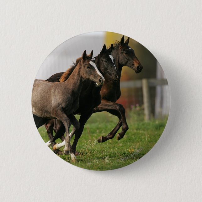 Foal Running Button (Front)