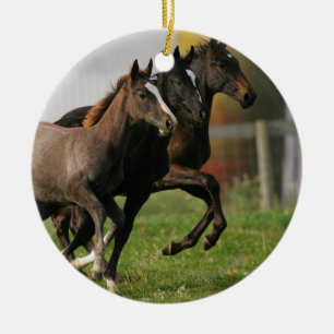 Foal Running Ceramic Ornament