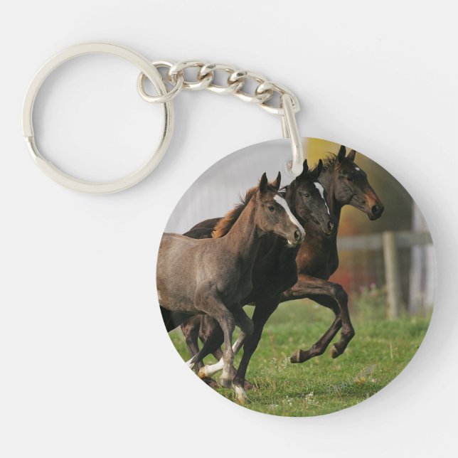 Foal Running Keychain (Front)