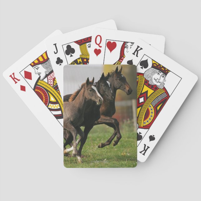 Foal Running Poker Cards (Back)