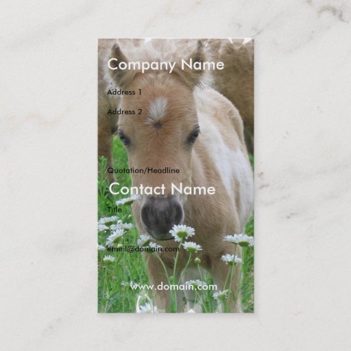 Customizable Foal Smelling Daisies on Business Card