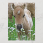 Foal Smelling Flowers Invitation