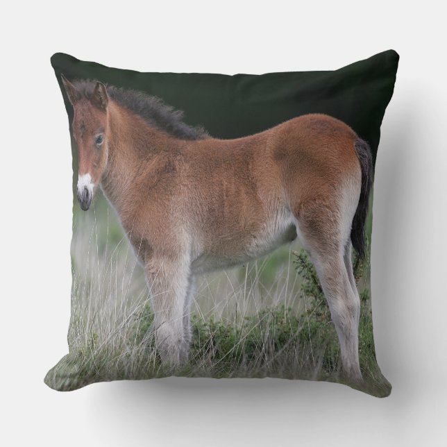 Foal Standing Throw Pillow (Front)