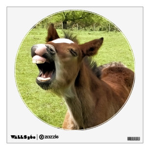 FOAL WALL DECAL