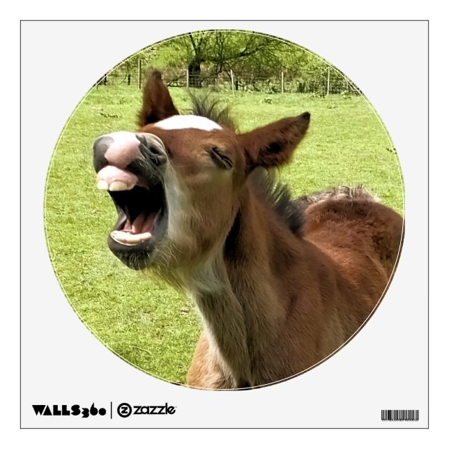 FOAL WALL DECAL (Front)