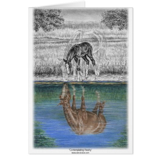 Foal Water Reflection of Horse Cards (Front)
