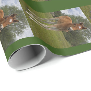 Foal Wrapping Paper