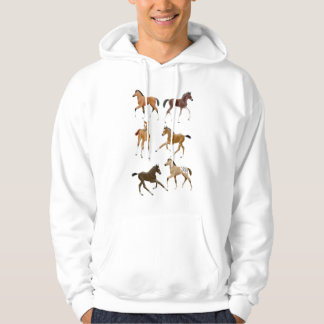 Foals Hoodie