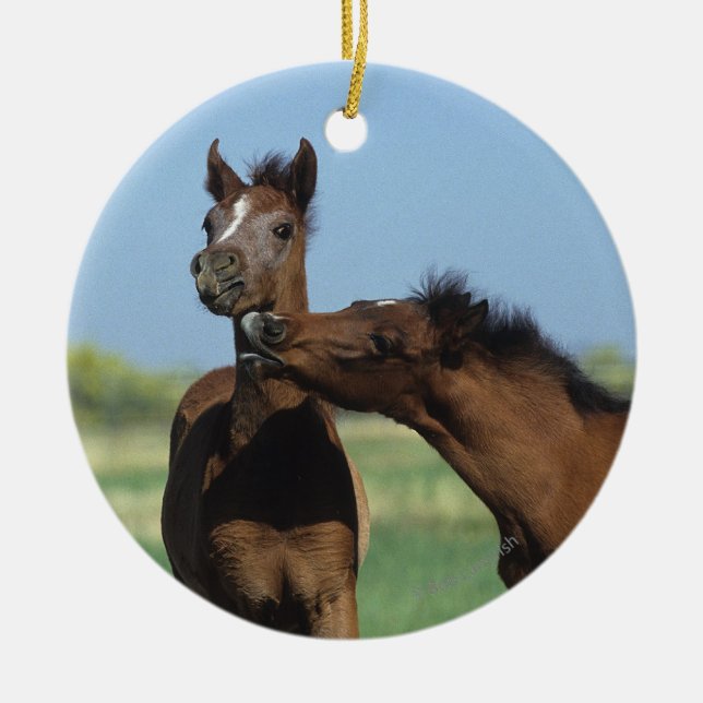 Foals Playing 2 Ceramic Ornament (Front)