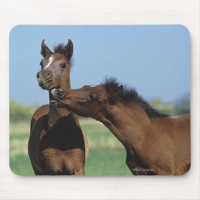 Foals Playing 2 Mouse Pad (Front)