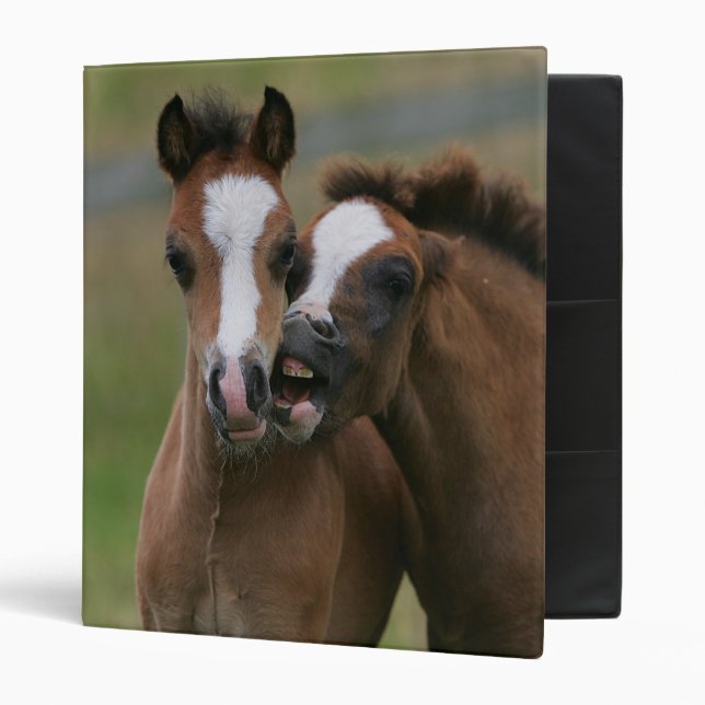Foals Playing Binder (Front/Inside)