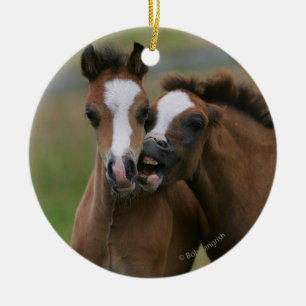 Foals Playing Ceramic Ornament