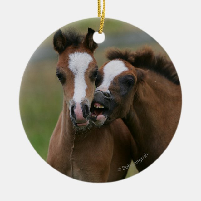 Foals Playing Ceramic Ornament (Front)