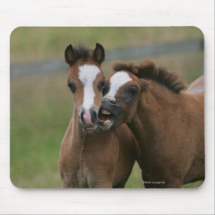 Foals Playing Mouse Pad