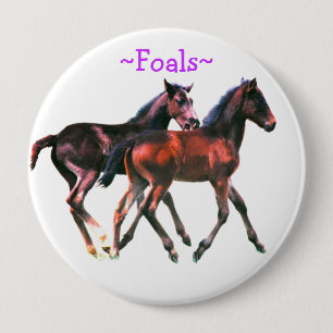 Foals Playing Pin Button