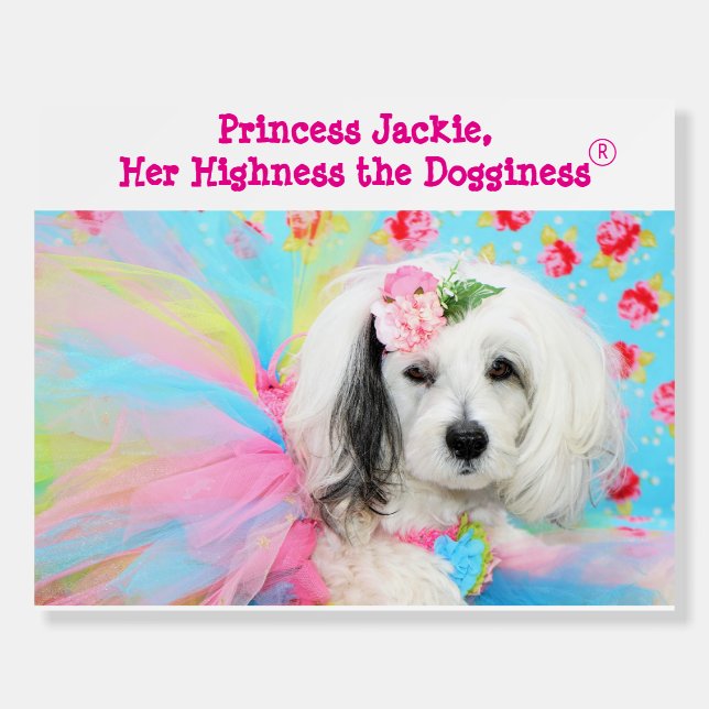 Foam Board Poster (Front)