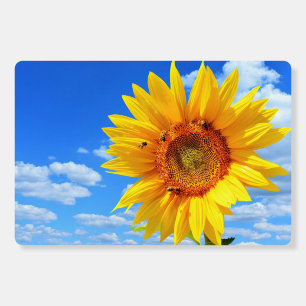 Foam Board with Sunflower