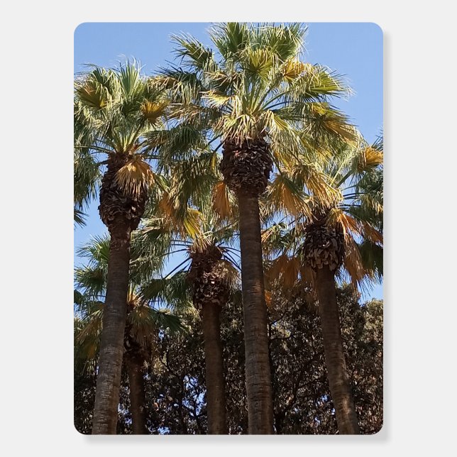 Foam Boards Palm Trees (Front)