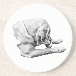 Focus at Play Coaster