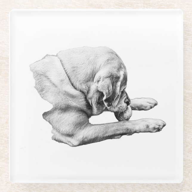 Focus at Play Glass Coaster (Front)