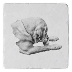 Focus at Play Trivet