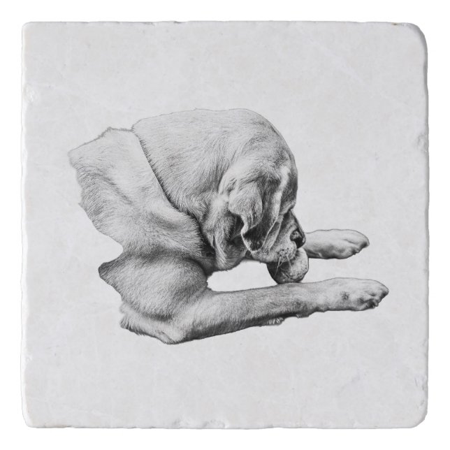 Focus at Play Trivet (Front)