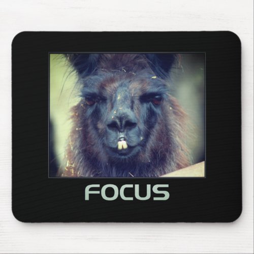 Focus Black Llama Inspirational Mouse Pad
