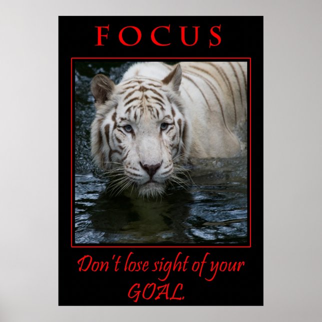 Focus Motivational Poster (Front)