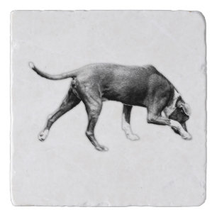 Focus Point – Sniffer’s Moment Trivet