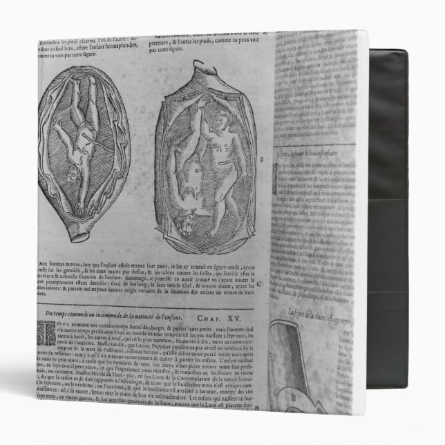 Foetus, illustration from 'Oeuvres' 3 Ring Binder (Front/Inside)
