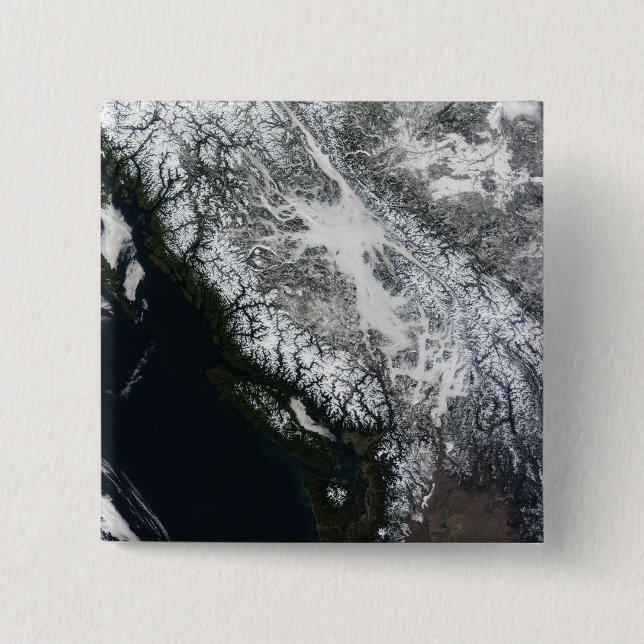 Fog and snow in British Columbia Button (Front)