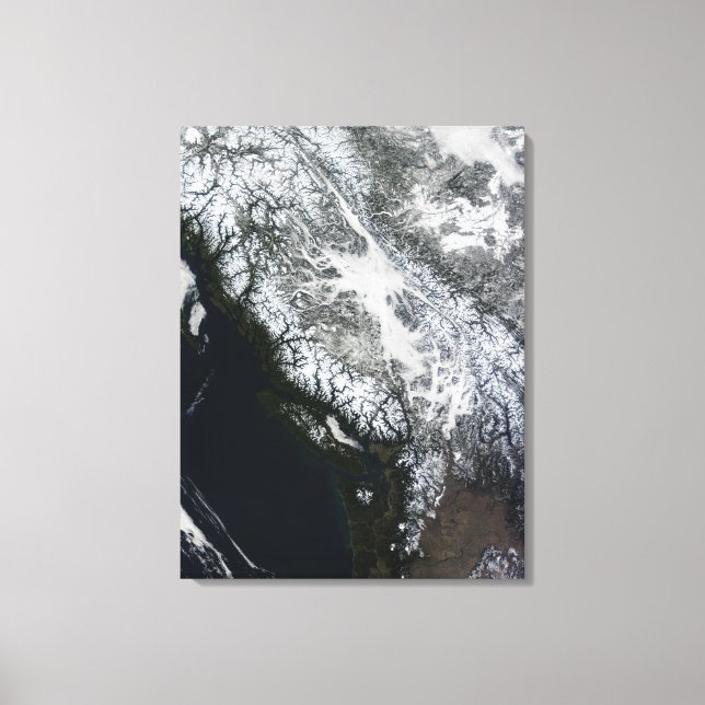 Fog and snow in British Columbia Canvas Print (Front)