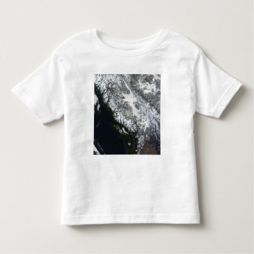 Fog and snow in British Columbia Toddler T_shirt