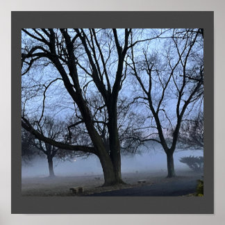 Fog and Trees Poster