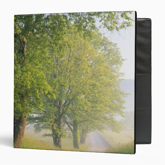 Fog covered road, Cades Cove, Great Smoky Binder (Front/Inside)