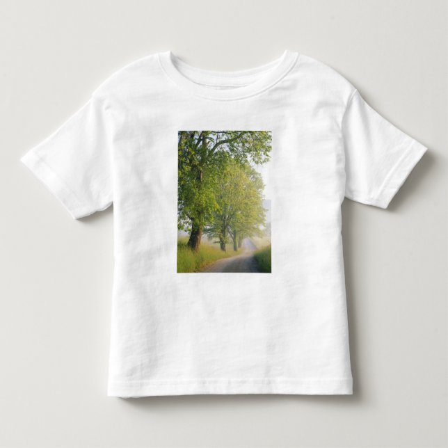 Fog covered road, Cades Cove, Great Smoky Toddler T-shirt (Front)