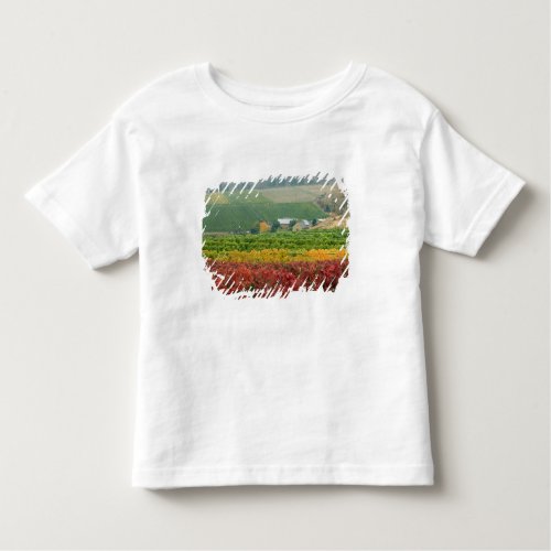 Fog creeps over Gehring Brothers Winery nestled Toddler T_shirt