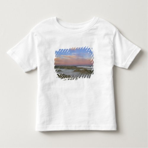 Fog from the Little Missouri River hangs in the Toddler T_shirt