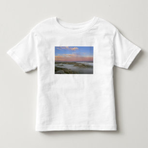 Fog from the Little Missouri River hangs in the Toddler T-shirt