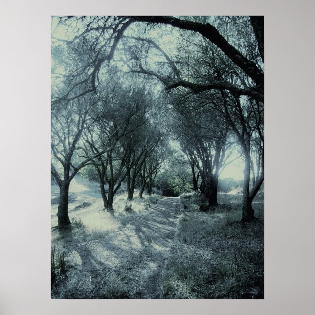 Fog of Dawn Poster (Front)