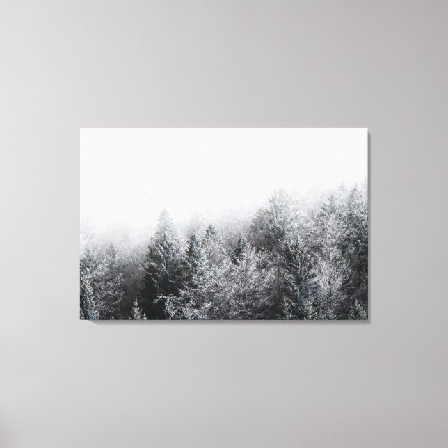 Fog over frozen forest canvas print (Front)
