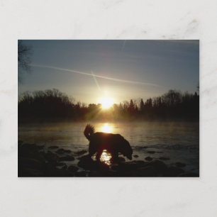 Fog over Mississippi River Postcard