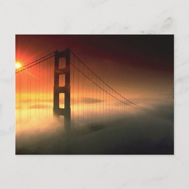 Fog Shrouded Golden Gate Postcard (Front)