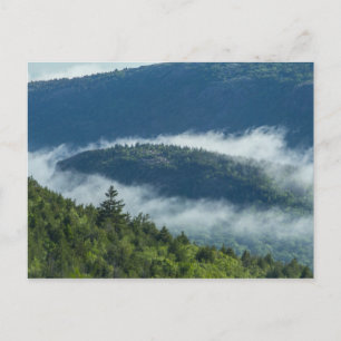Fog Streaming by Connors Nubble, Acadia NP, Maine Postcard