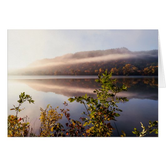Fog Striped Reflection Cards (Front Horizontal)