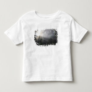 Fog & Sun Beams in a Washington Forest Toddler T-shirt
