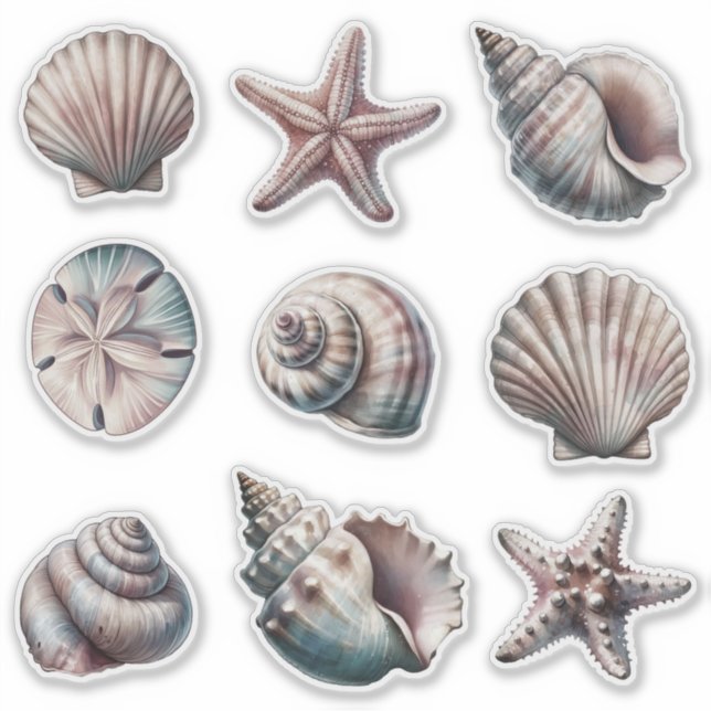 Fog Various Sea Shell Stickers - set of 9 (Front)