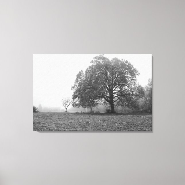Foggy Autumn Morning Grayscale Canvas Print (Front)