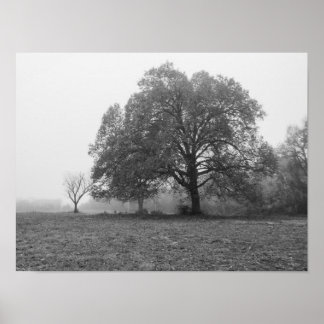 Grayscale Posters | Zazzle