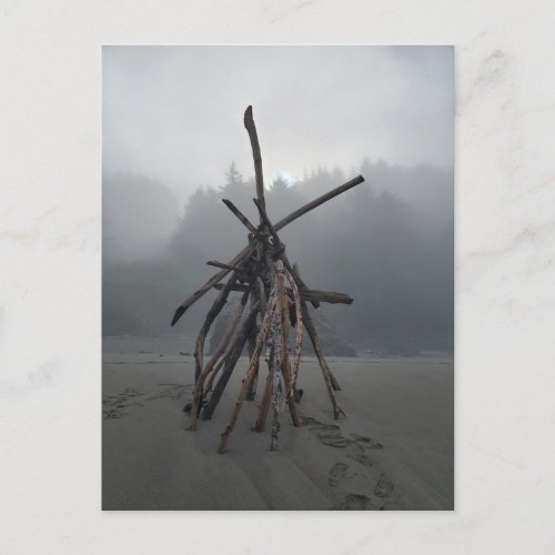 Foggy Beach Driftwood Sculpture Teepee Misty Fores Postcard